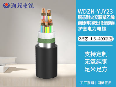 電纜接頭有哪些常見(jiàn)的故障類型？